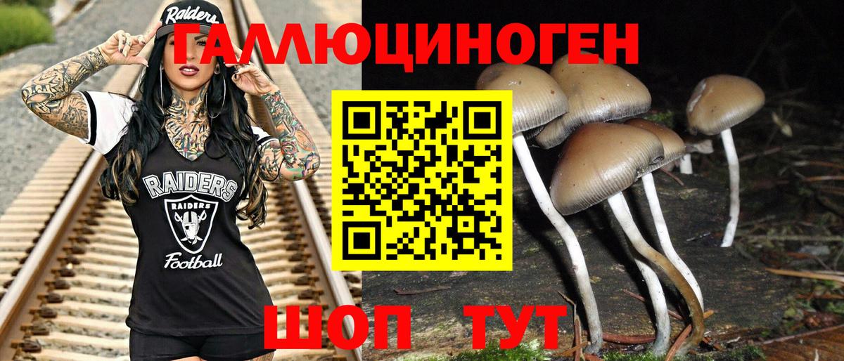 Псилоцибиновые грибы прущие грибы  Вход с VPN  Анжеро-Судженск 