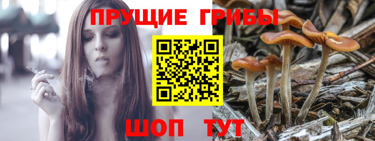 Галлюциногенные грибы мицелий Анжеро-Судженск