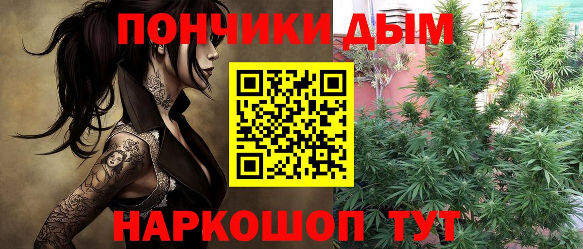 Бошки марихуана ГИДРОПОН  Марихуана AK-47  Вход с VPN  МАРИХУАНА MAZAR  Бошки Шишки марихуана  Анжеро-Судженск 